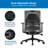 Ergo Collection Lumbar Support