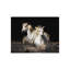 Camarague Horses Print by Bobbie Goodrich-26704838-26704839