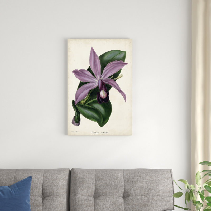 Orchidée prune, H 30 po x l 20 po x P 1,25 po