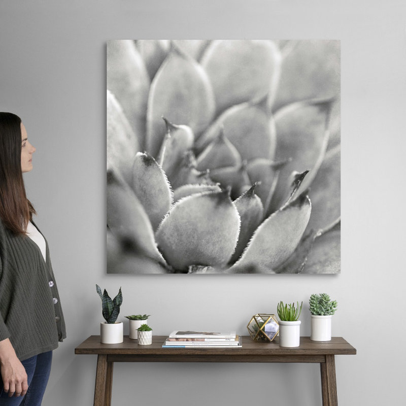 «Garden Succulent I», art mural sur toile, H 36 po x l 36 po x P 1,25 po, Toile tendue