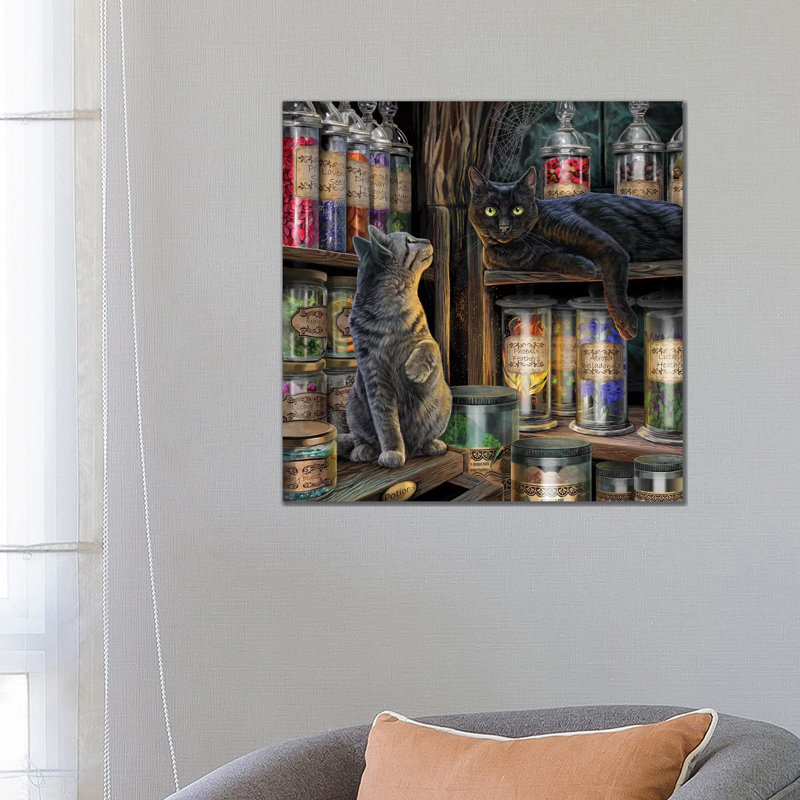 «Magical Emporium» par Lisa Parker - impression d'art graphique, Pas de tapis, H 26 po x l 26 po x P 1,5 po, Toile tendue
