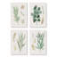 Ensemble de 4 «Earthy Greens in Bloom»-876046556-876046552