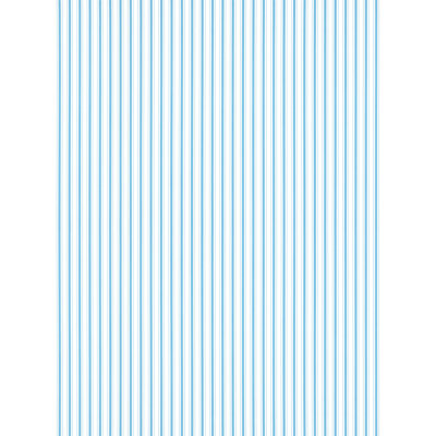 Johnson Stripe Wallpaper Roll