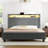 Hudepohl Upholstered Wingback Bed with 52.12" High Storage Headboard, Modern Upholstered Bed Frame with Outlet & LED Light-1636301564-1644785087