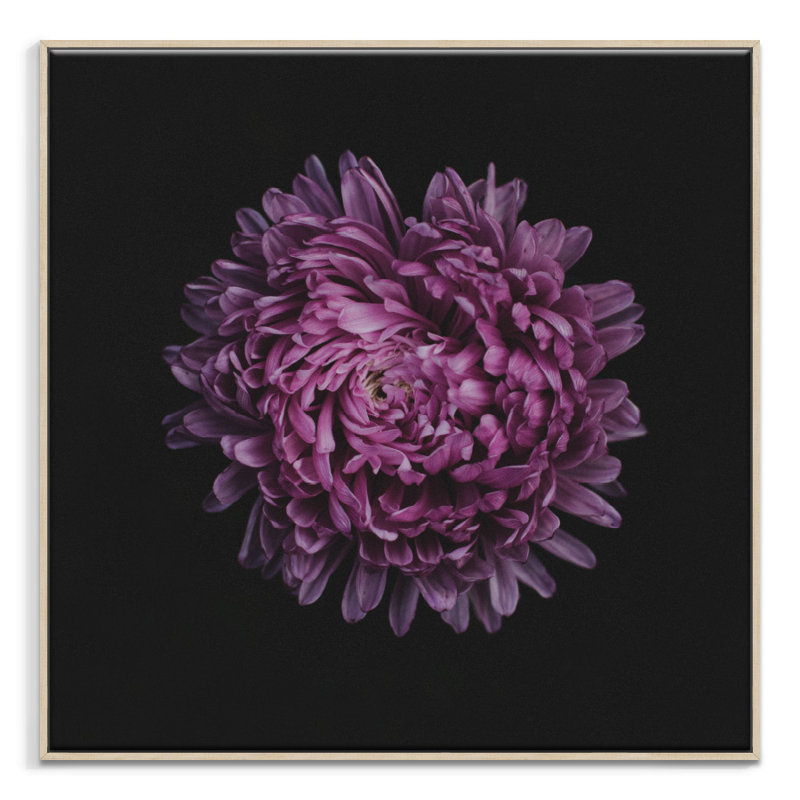 Print on Canvas, 76cm H x 76cm W, Wrapped Canvas