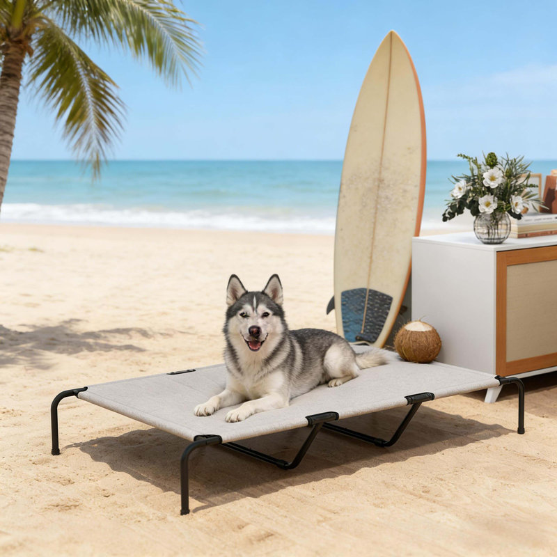 Grand lit pour animal de compagnie, lit surélevé pour chien, Beige / noir / blanc