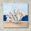 «Coral par The Shore 1» par Ethan Harper, art mural en verre acrylique