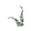 Plante artificielle