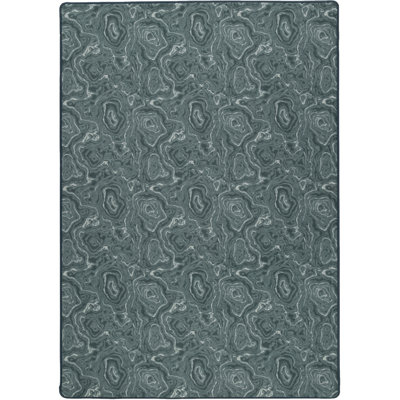 Imagine Lasting Beauty Larimar Teal Area Rug
