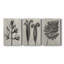 Blossfeldt Botanical I - Toile tendue avec châssis sur mesure - 3 pièces-1588923141