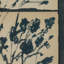 Summer Weeds II by Shaina Page-1433381674