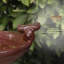 Ceramic / Porcelain Pedestal Birdbath-1647020831