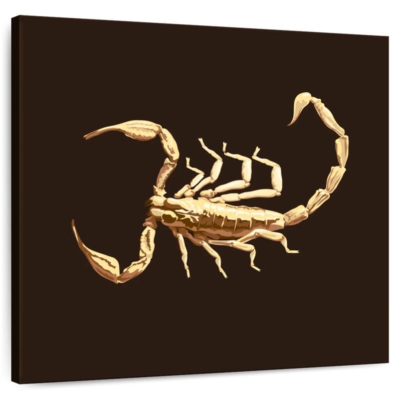 Crowle Venomous Scorpion