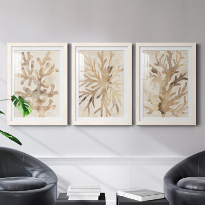 " Parchment Coral I " 3 - Pieces Painting Print