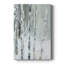 Bouleau enneigé III - galerie sur mesure-731476939