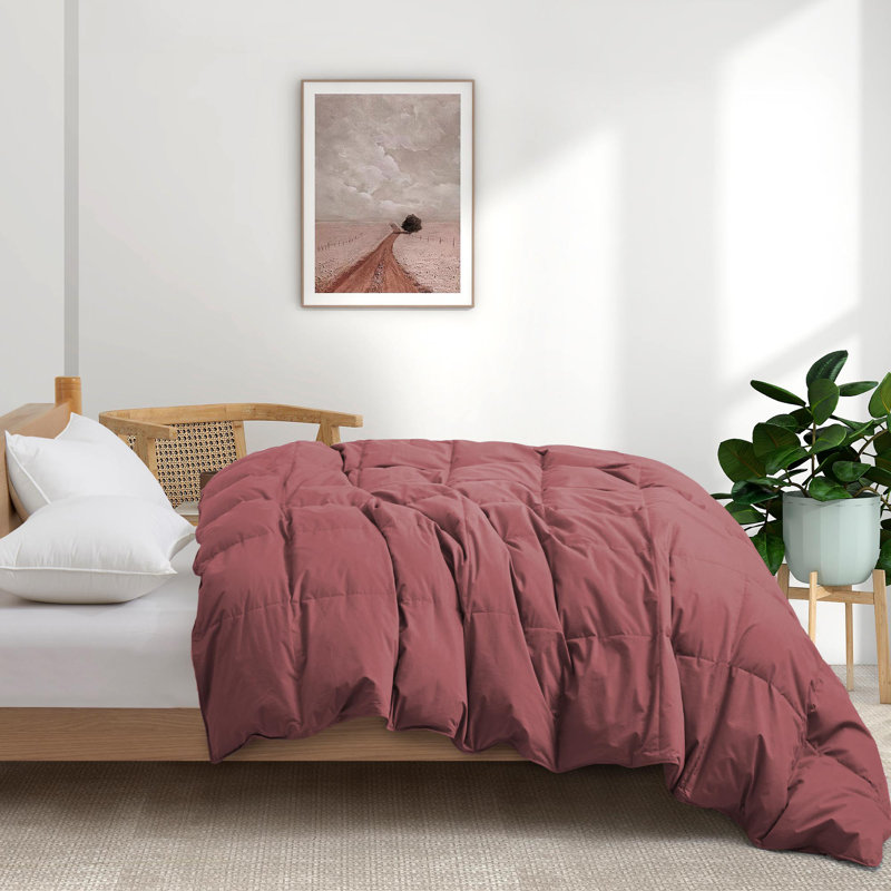 All Season Cotton Down Comforter/Duvet Insert, King Comforter, Red