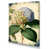 Wrapped Canvas selected
