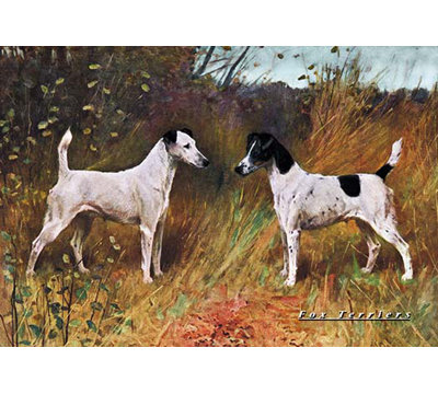 « two fox terriers », reproduction d’art