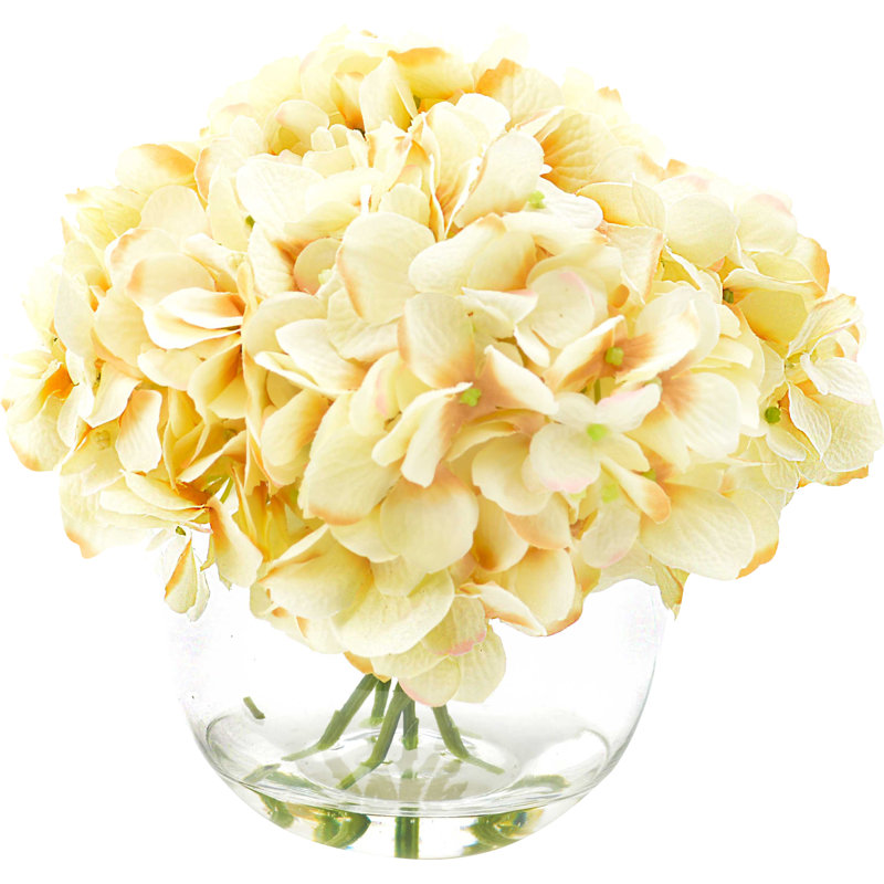 Hydrangea in Water