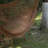 Affan 1 Person Classic Hammock