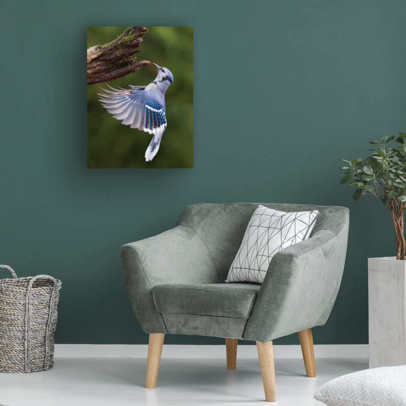 Art sur toile «Jay», H 19 po x l 14 po
