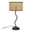 Metal Desk Lamp