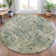 Machine Washable Indoor/Outdoor Xhevrie Aloe Rug