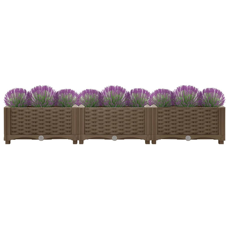 Dakota Fields Raised Bed Polypropylene, Brown, 23cm H x 120cm W x 40cm D