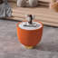 Table basse en forme de tasse-114239818-121934100