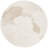 Kyiana Hand Tufted Wool/Cotton Floral Rug in Ivory/Beige-2068805763