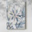 Beach Shell Fresco I -Galerie enveloppée Cavas-1754357207