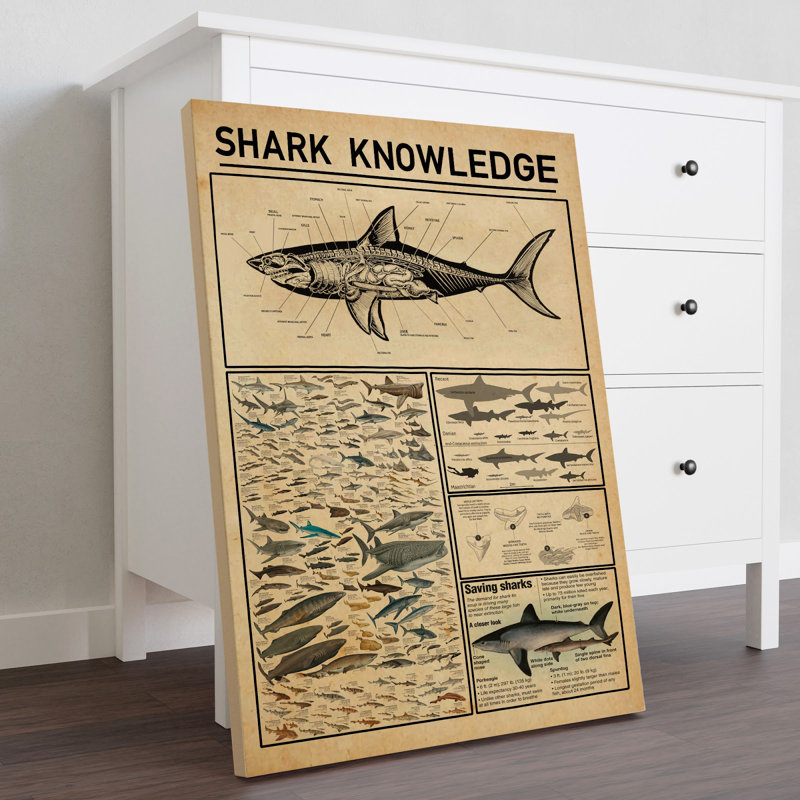 Toile tendue Shark