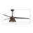 Riveria 60'' Ceiling Fan with Light Kit