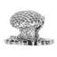 ARTS & CRAFT PINECONE KNOB-658319037