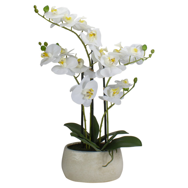 Orchidée artificielle blanche et jaune 22 po avec un pot ovale blanc