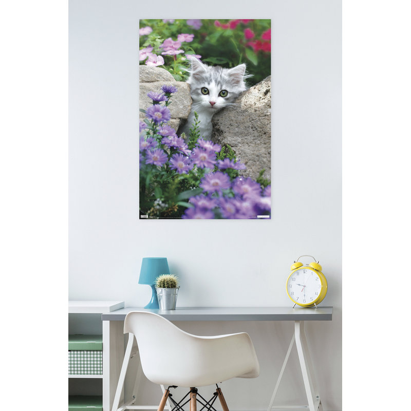 Impression sur papier chat-pierres
