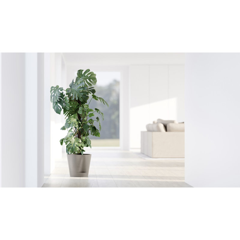 Ecopots Venice Indoor/Outdoor Modern Recycled Plastic Flower Pot Planter W/ Water Reservoir, 10.25" H x 12" W x 12" D, Taupe