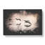 A Flock of Pelicans - Wrapped Canvas-56663035