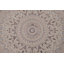 Tapis traditionnel oriental 7 x 10