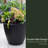 Marazzi Double Walled Tapered Pot Planter-84050111-89842158