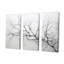 Ensemble de salon mural gris bouleau Tree III-107762578-107762583