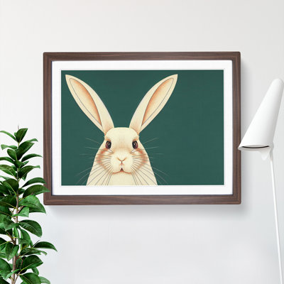 The Face Of A Rabbit Framed Print