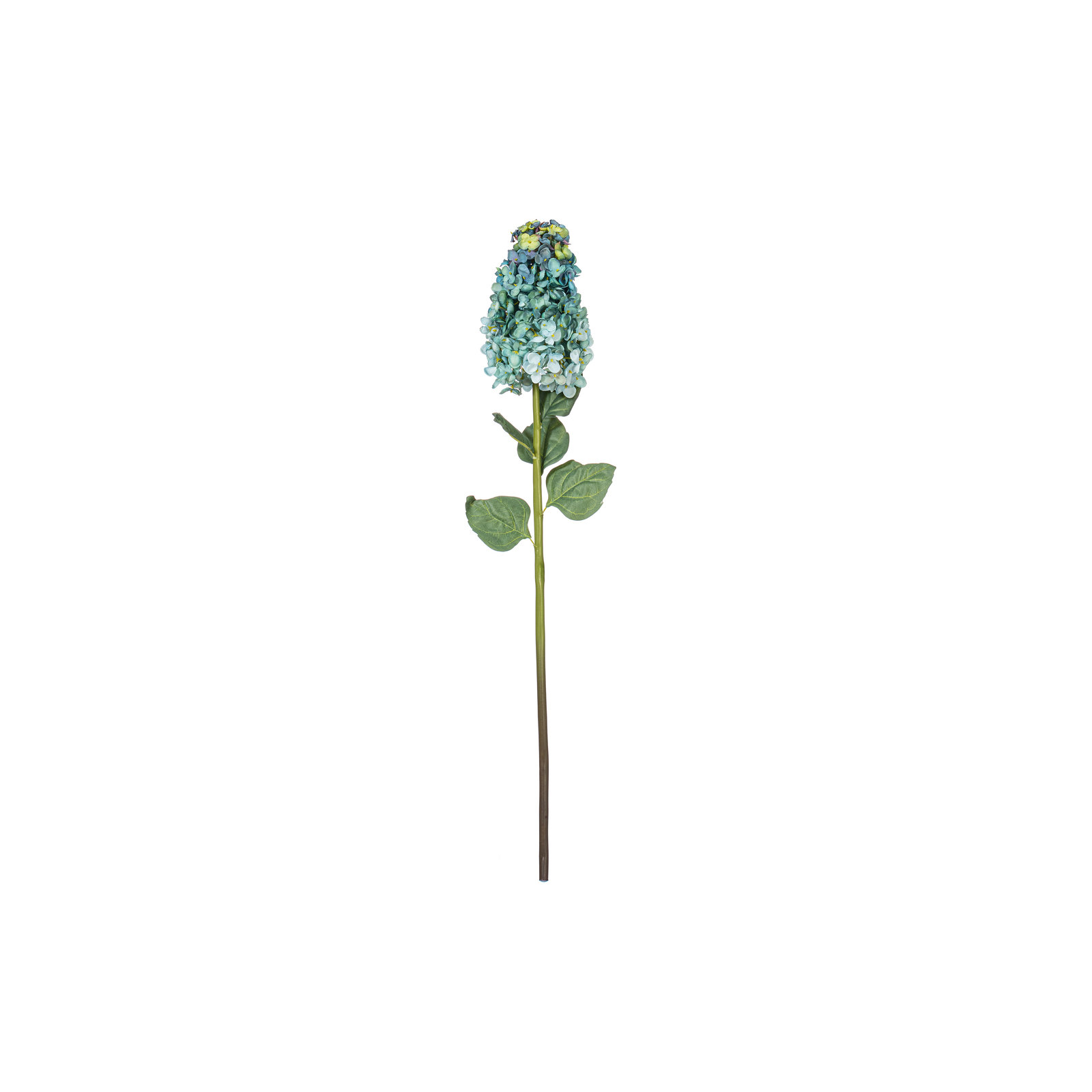 Hydrangea Stem, Blue