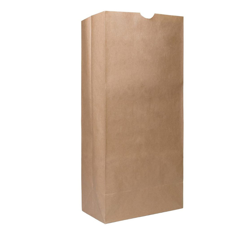 Sacs en papier kraft brun Ecoqualité de 25 lb, pour les collations, le déjeuner, les sacs-cadeaux, l'épicerie et les produits (100)