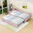 Upholstered Daybed with Trundle-916086972