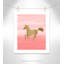 Ombre Pink 3' Wall Decal-47482502-47841293