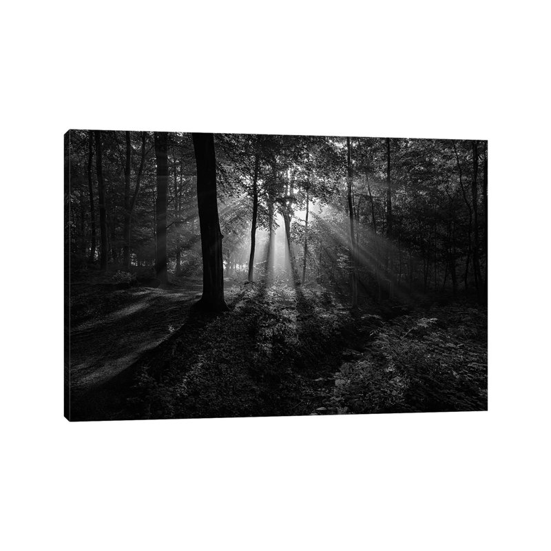 A Sunny Morning by Leif Londal - Wrapped Canvas Print, 20.32 cm H x 30.48 cm W