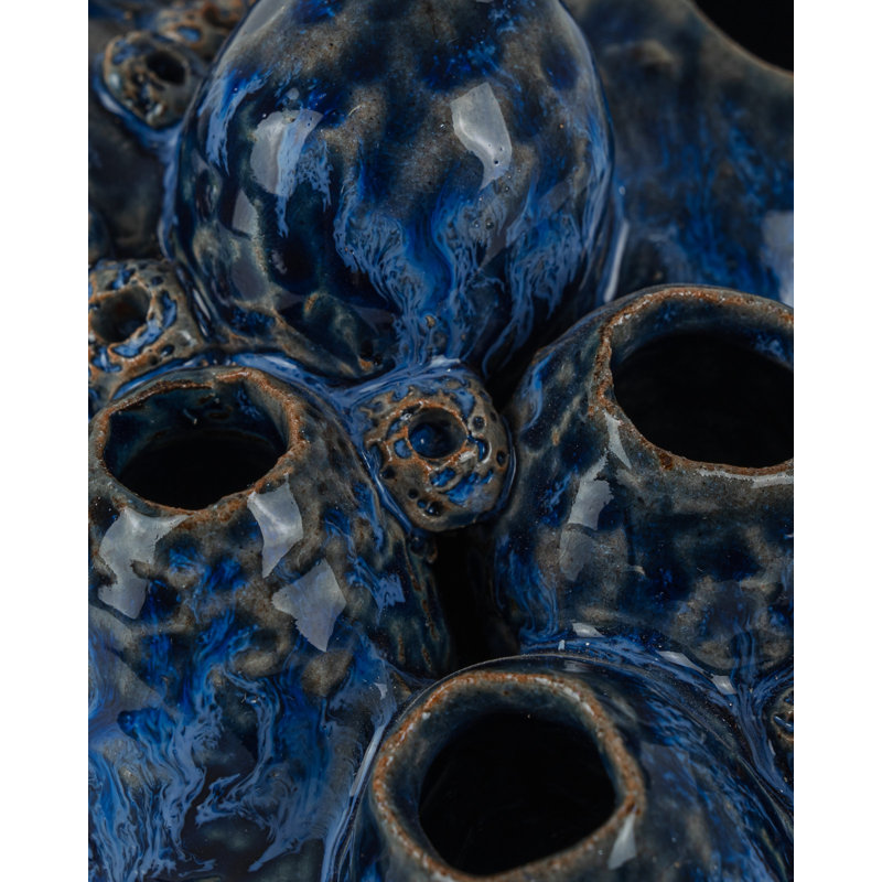 Sulawasi Blue Shells