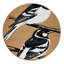  Tapis lavable Willie Wagtail Birds-975258073