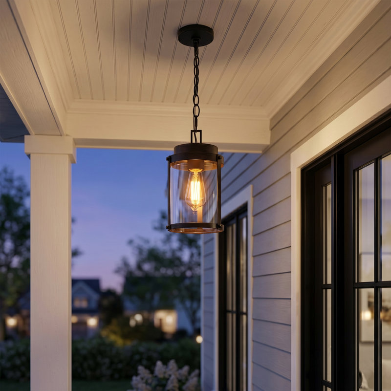 1-light Outdoor Pendant Light With Clear Glass Shade